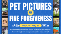 Pet Pictures for Fine Forgiveness