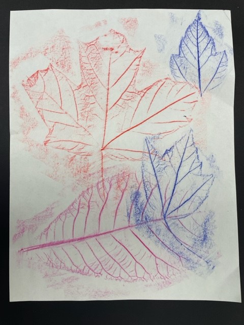 leaves colored on a sheet of paper