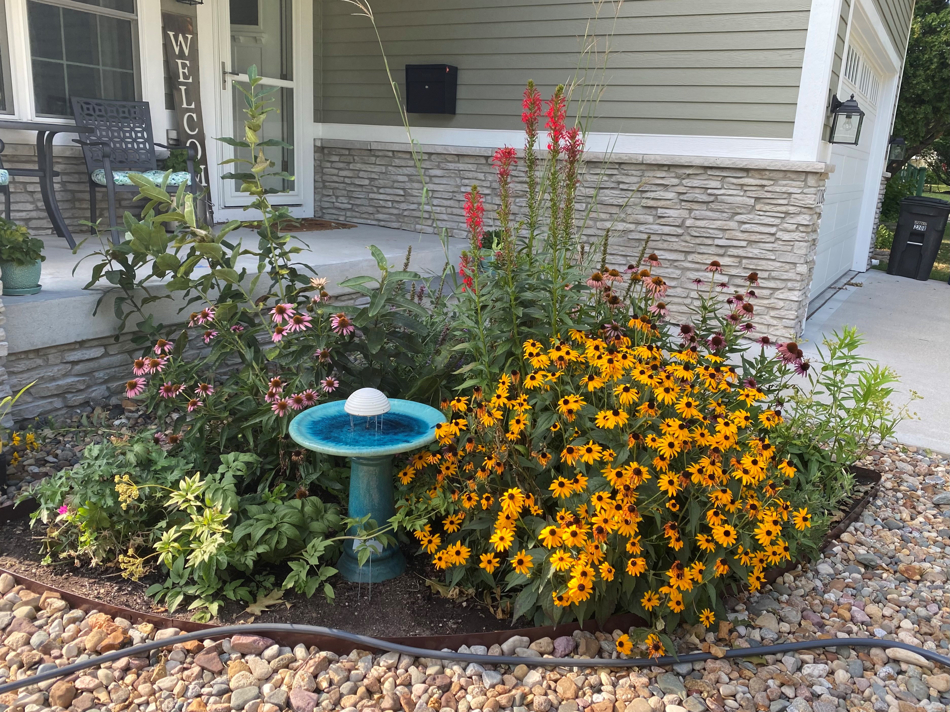 Garden with Native plants