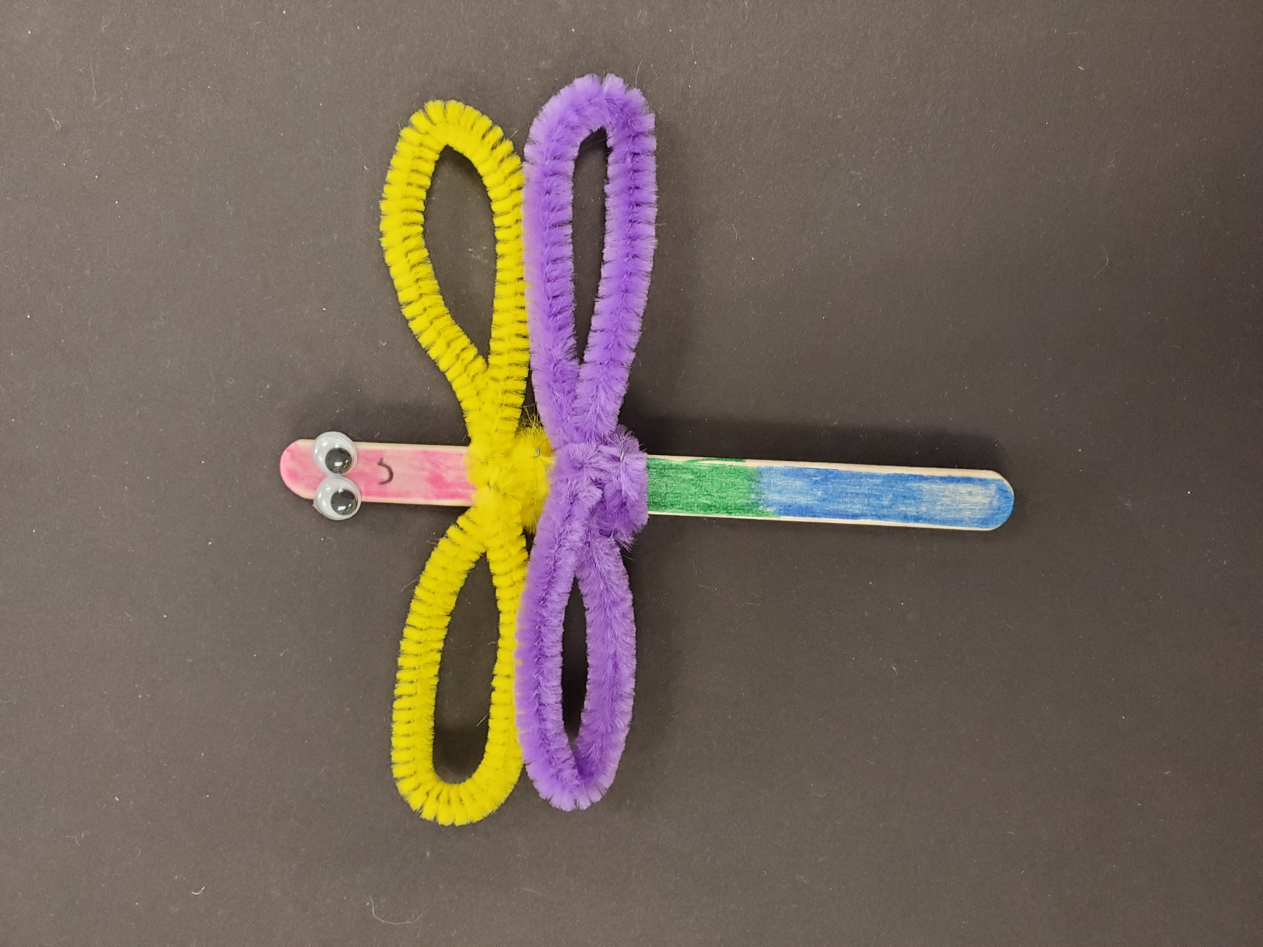 Image of a multicolored popsicle stick with two googly eyes attached, and two pipecleaners tied into ribbon shaped wings