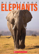 Image for "Nic Bishop Elephants"