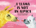 Image for "A Llama Is Not an Alpaca"