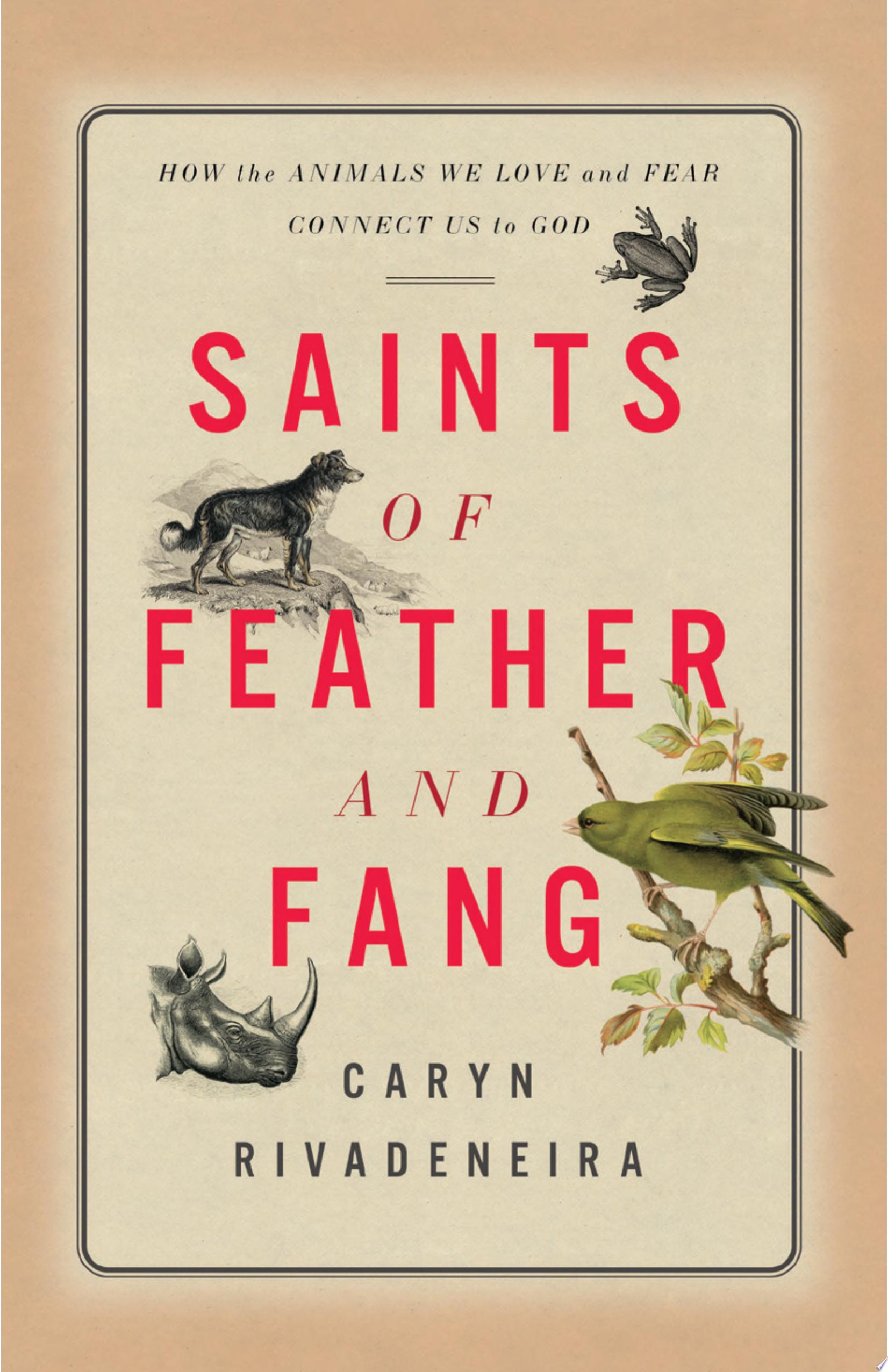 Image for "Saints of Feather and Fang"