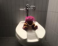 Spotty sits on a toilet