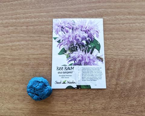 seed bombs
