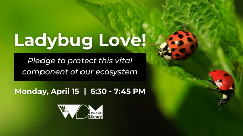 closeup image of 2 ladybugs on a leaf; date/time of program