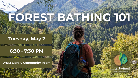 Forest Bathing 101