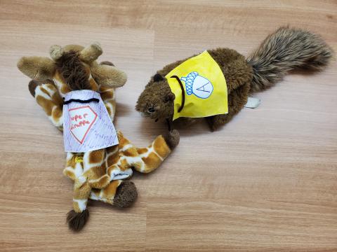 Photo of two stuffed animals with paper cape crafts on their backs. The stuffed animal on the left is a giraffe, with a cape that says "Super Giraffe". The stuffed animal on the right is a squirrel with a yellow cape with a picture of an acorn.