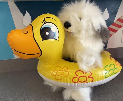 puppet dog with duck floatie