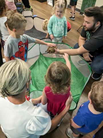 adult holding small turtle for kids to see and touch