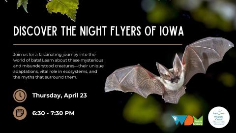 photo of bat; date/time of program