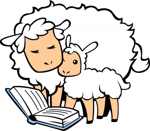 sheep and lamb reading a book