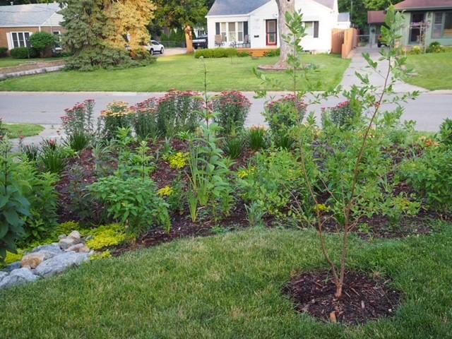 Rain Garden - Young Gardens