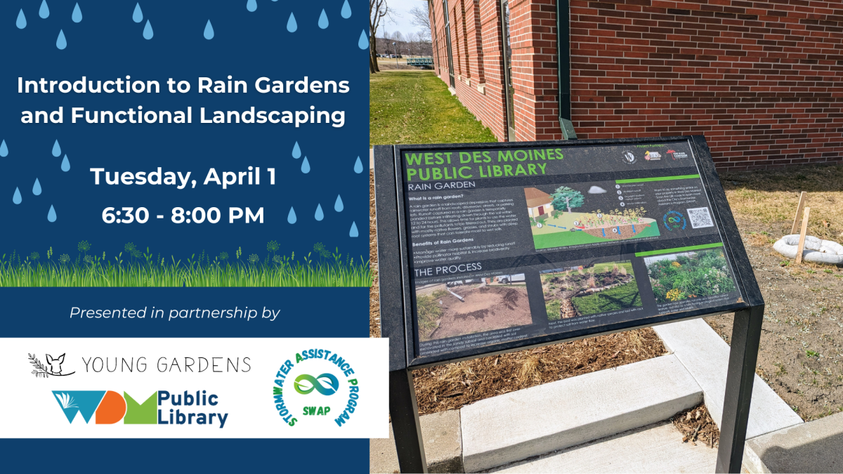 Introduction to Rain Gardens