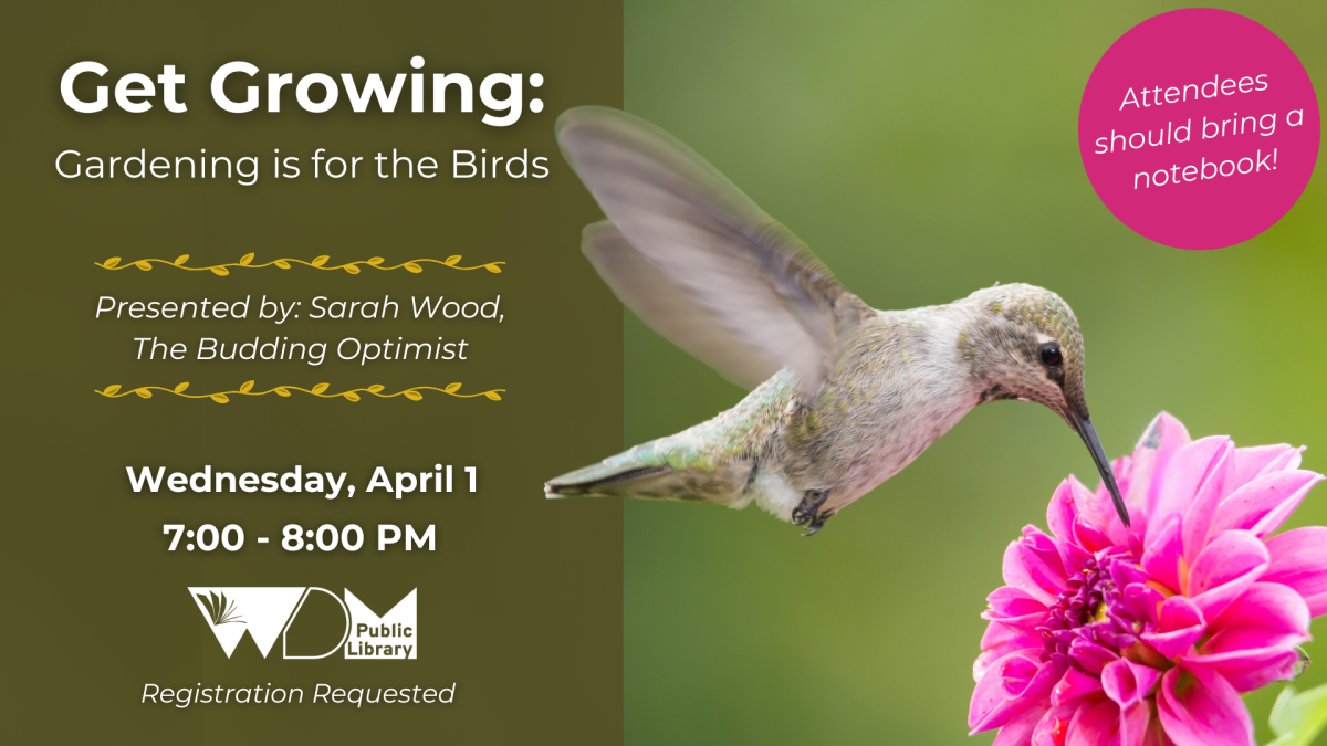 Photo of hummingbird on flower; date/time of program