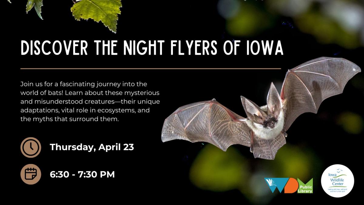 photo of bat; date/time of program