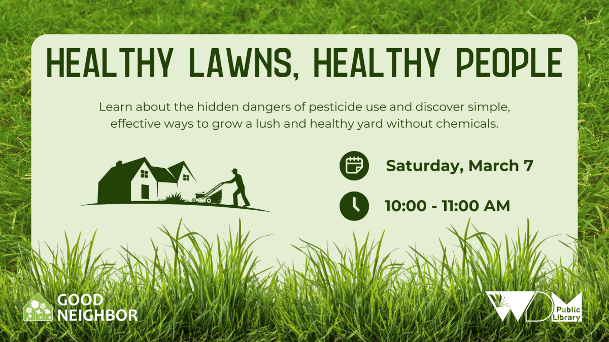 photo of grass around edge of slide; date/time of program