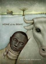 Home of the Brave book cover